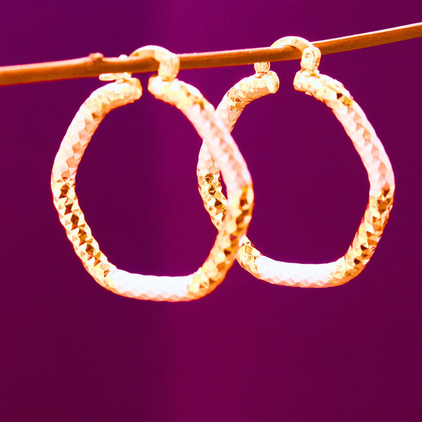 Western Earrings Stylish Hoops Golden Color Style FS159 - freakysera